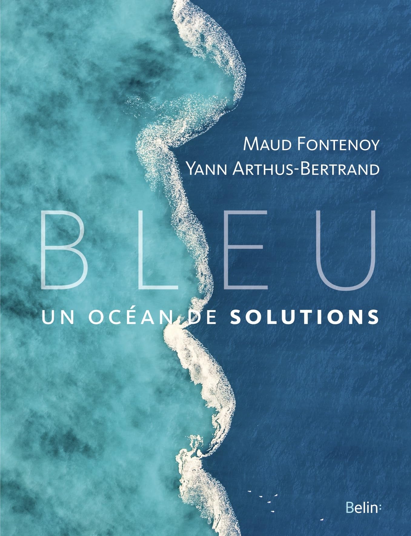 Bleu: Un océan de solutions 9782410022544