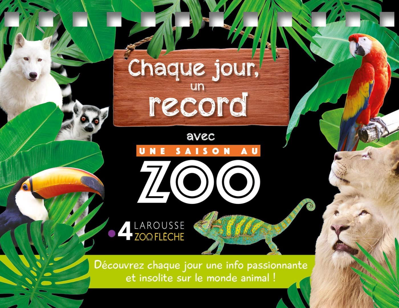 Chaque jour, un record UNE SAISON AU ZOO 9782035977359