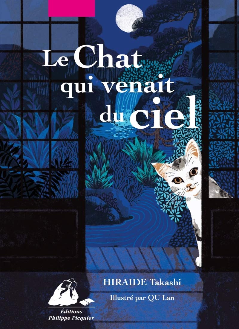 Le Chat qui venait du ciel: Edition illustrée 9782809712865