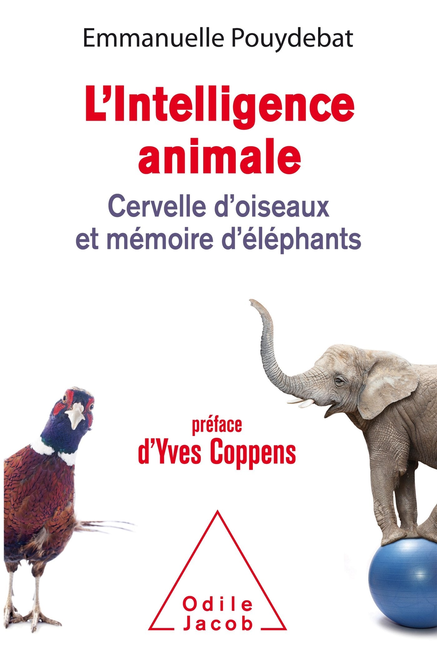 L'Intelligence animale 9782738135155