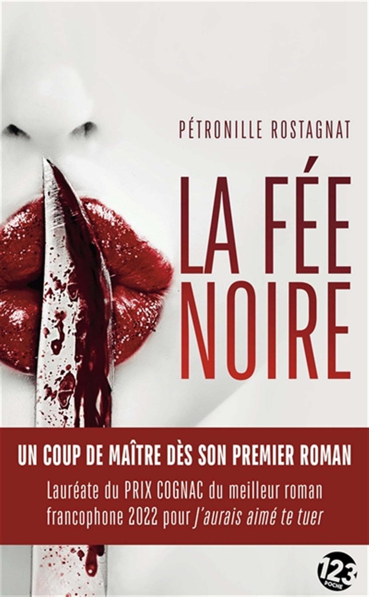 La Fée noire: Un coup de maître dès son premier roman 9782376101635