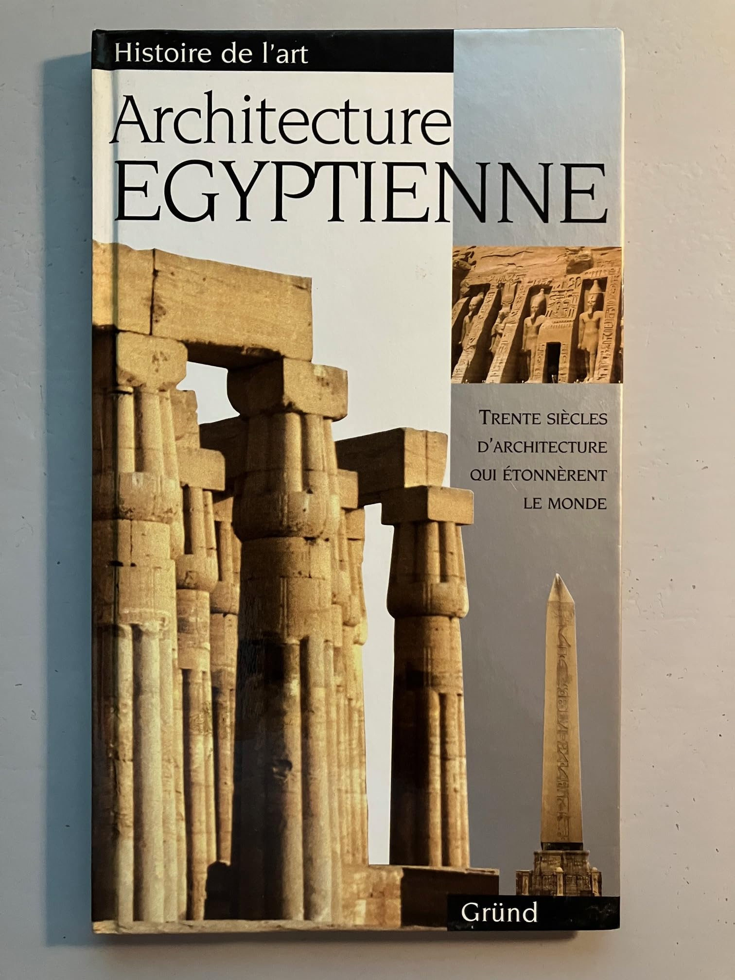 Architecture Egyptienne 9782700016116