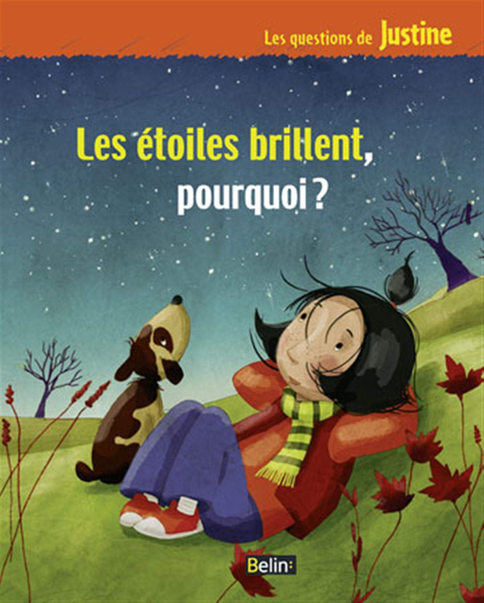 Les étoiles brillent, pourquoi ?: pourquoi ? 9782701146010