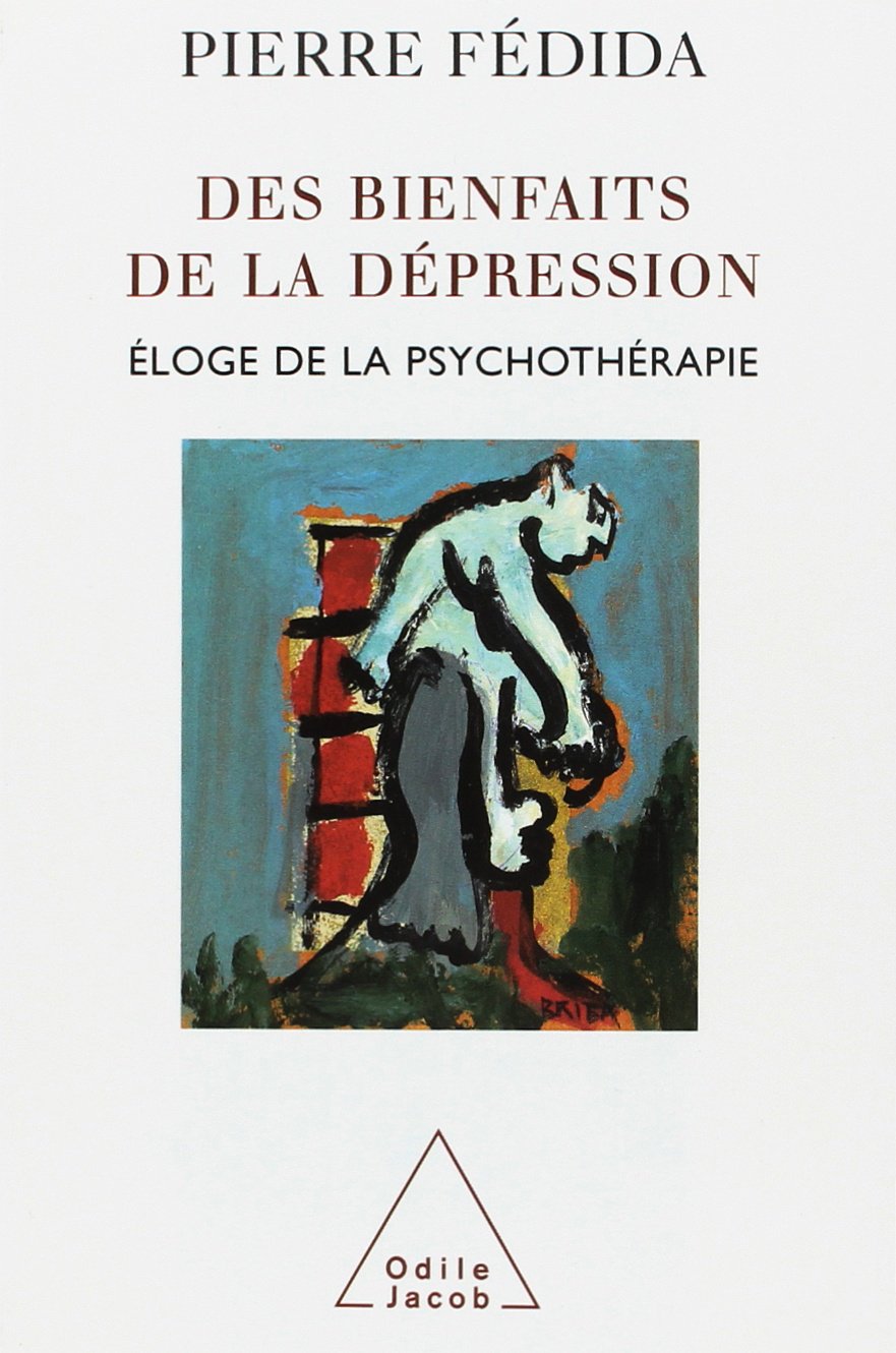 Des bienfaits de la dépression : Eloge de la psychotérapie 9782738109255