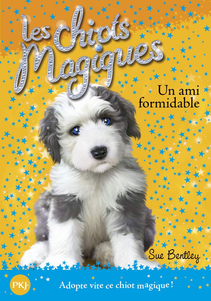 Les chiots magiques - tome 08 : Un ami formidable (08) 9782266207959