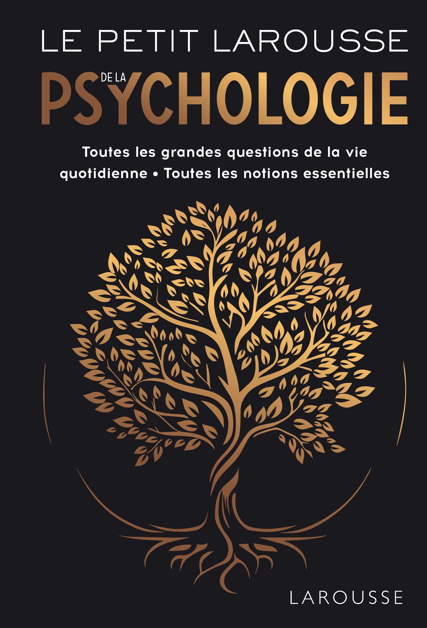 Le Petit Larousse de la psychologie 9782035969064