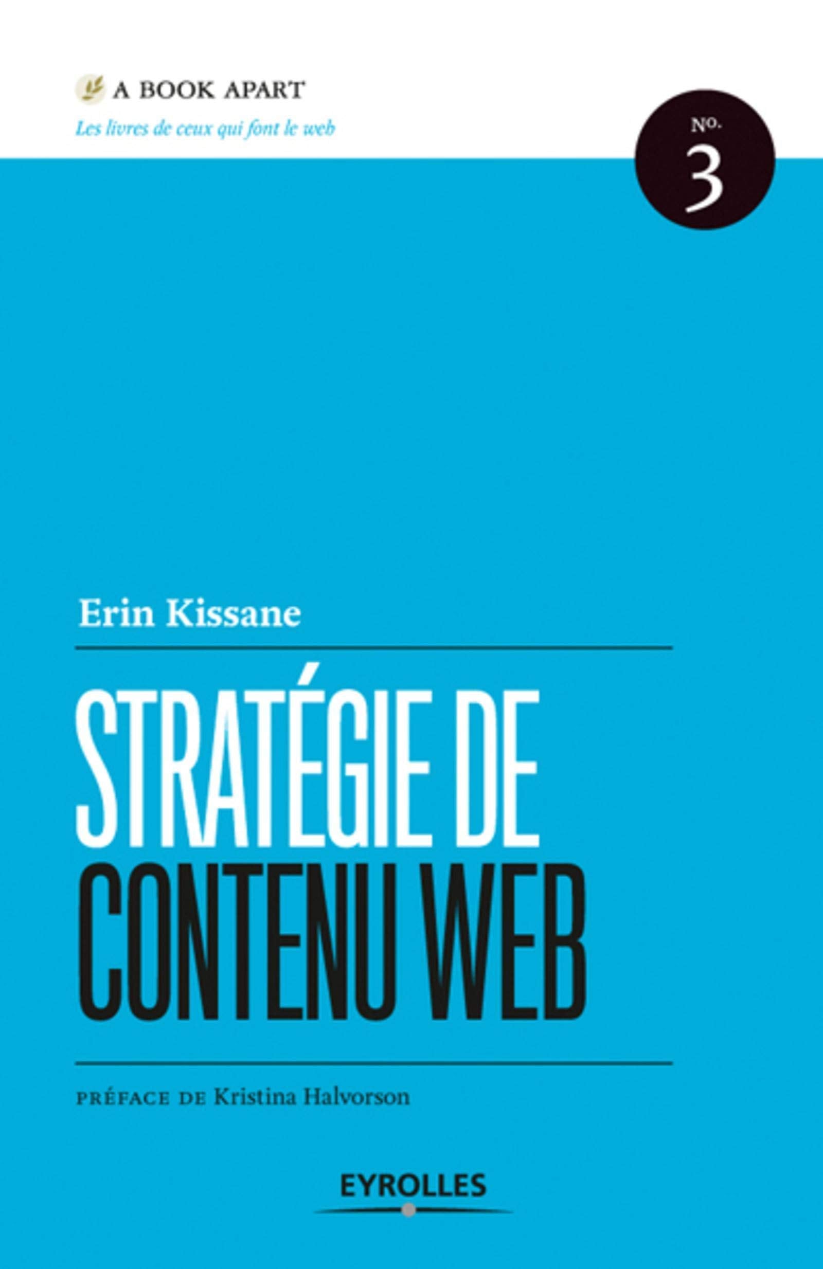 STRATEGIE DE CONTENU WEB N3 (3) 9782212132793