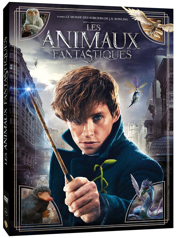 Les Animaux fantastiques - Le monde des Sorciers de J.K. Rowling - DVD 5051889599586