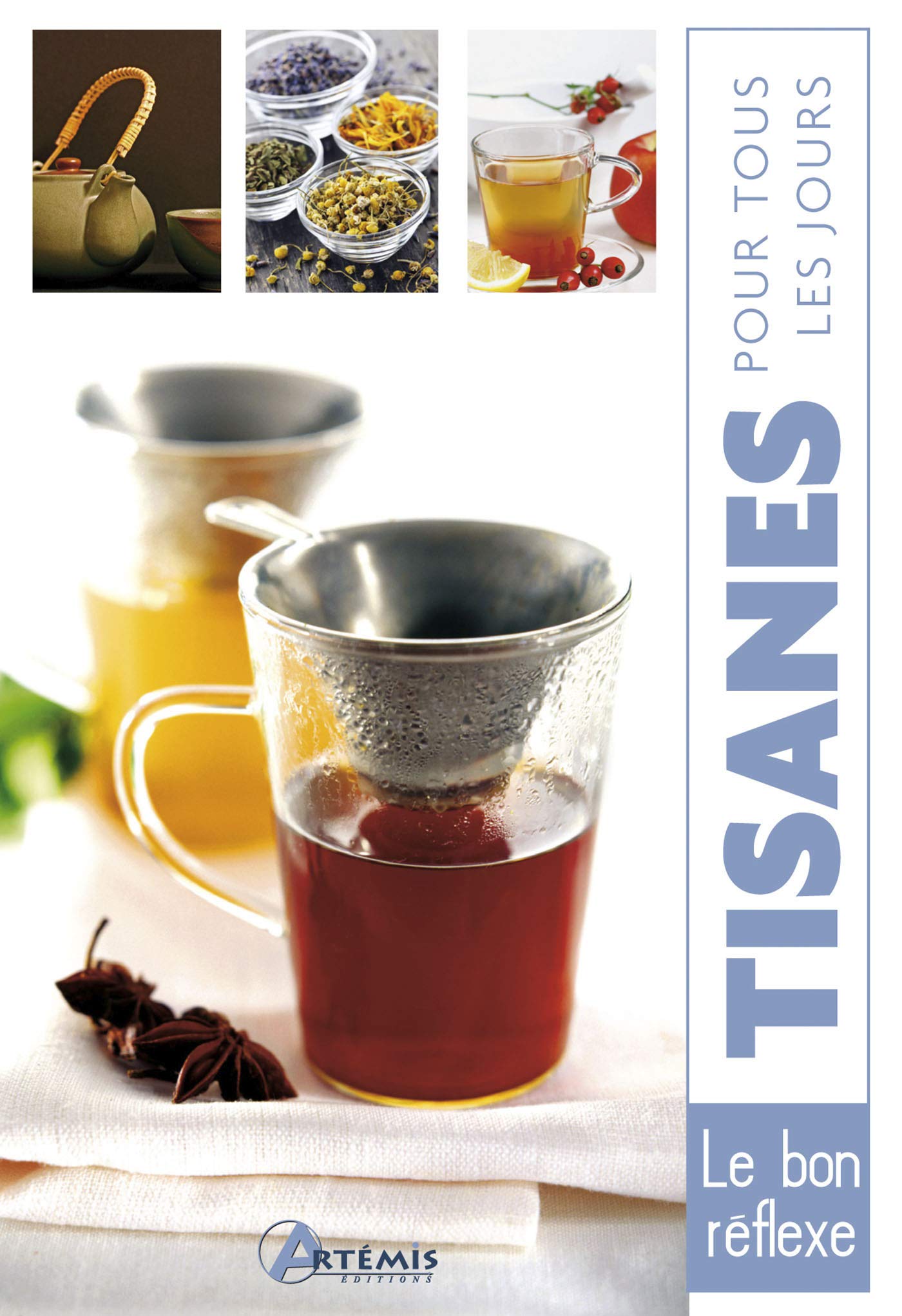 Tisanes pour tous les jours 9782816002423