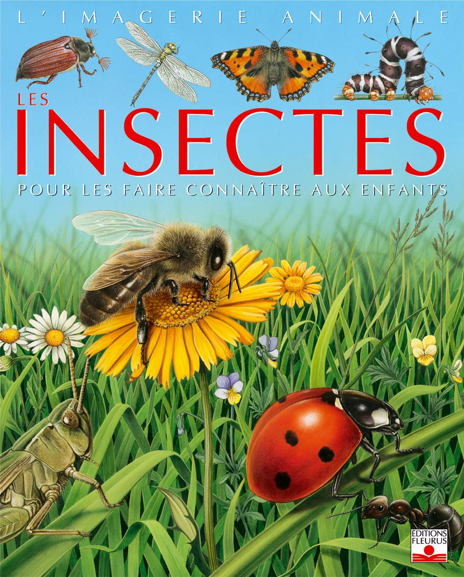 Les Insectes : Pour les faire connaître aux enfants 9782215080640