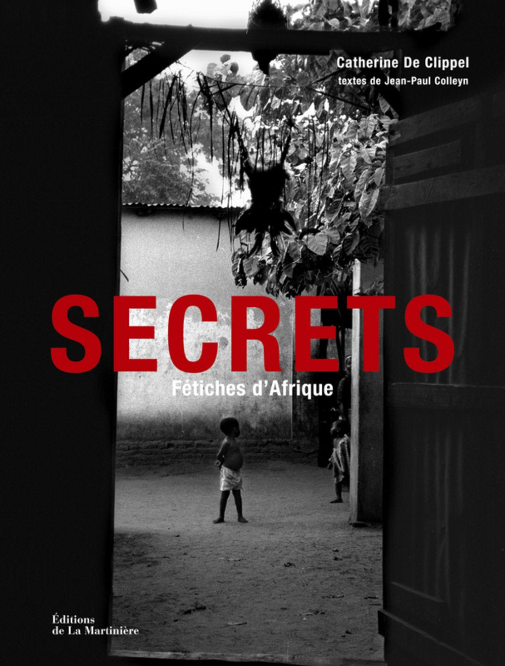 Secrets: Fétiches d'Afrique 9782732435848