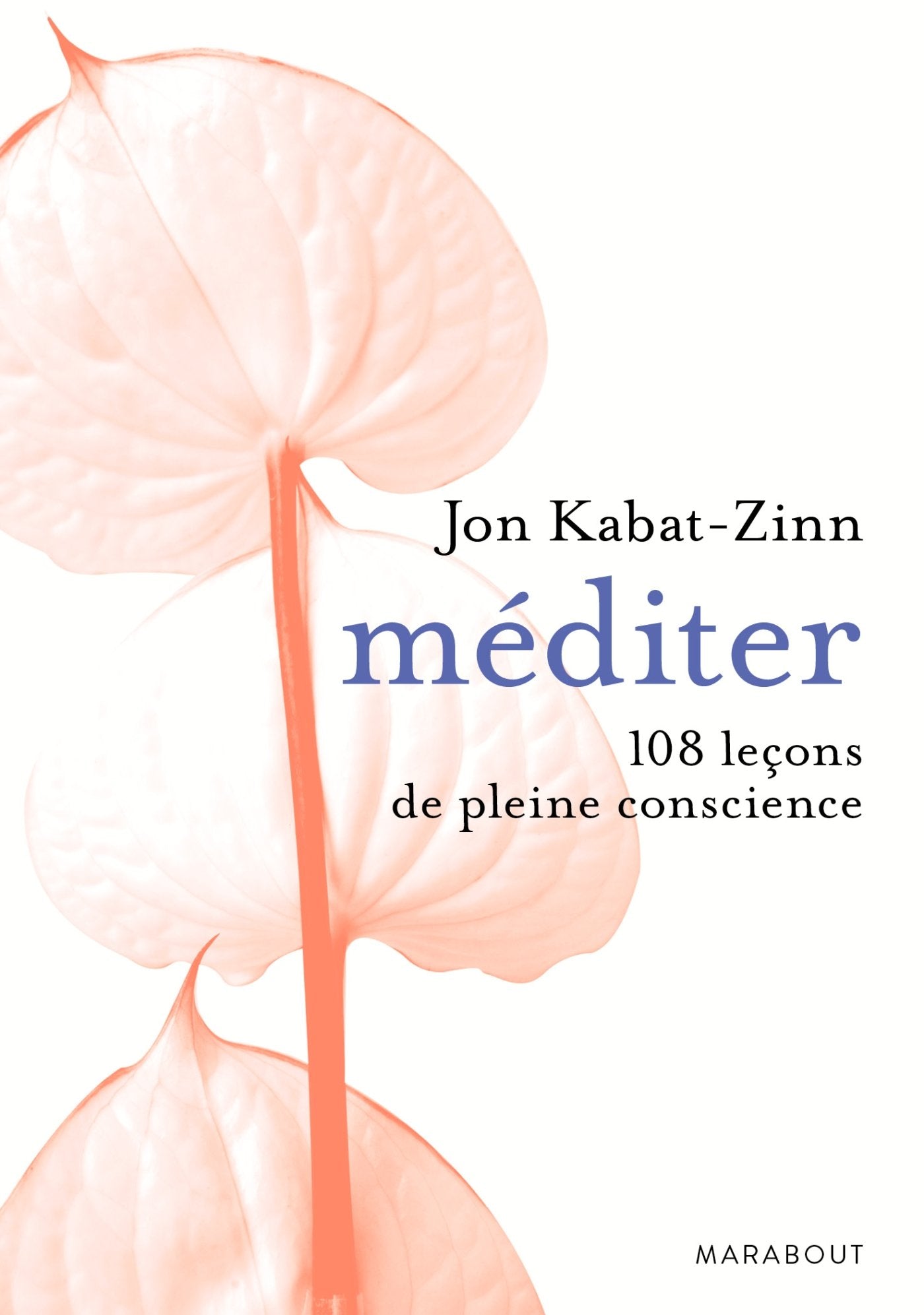 Méditer 108 leçons de pleine conscience: 108 leçons de pleine conscience 9782501068284