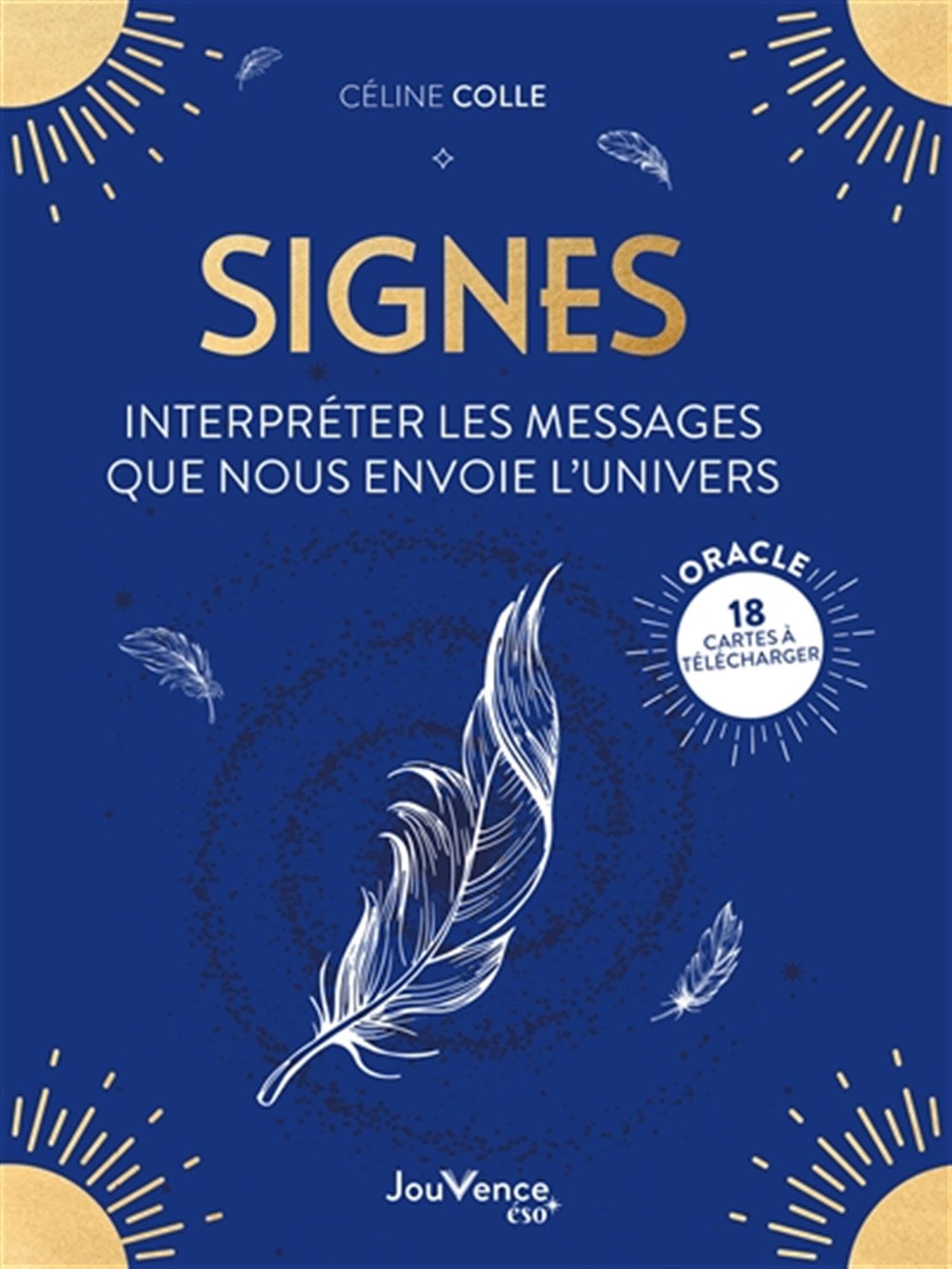 Signes : interpréter les messages que nous envoie l'Univers 9782889539819
