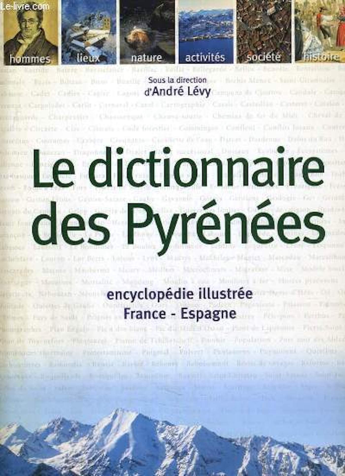 Dictionnaire des Pyrénées 9782708968172