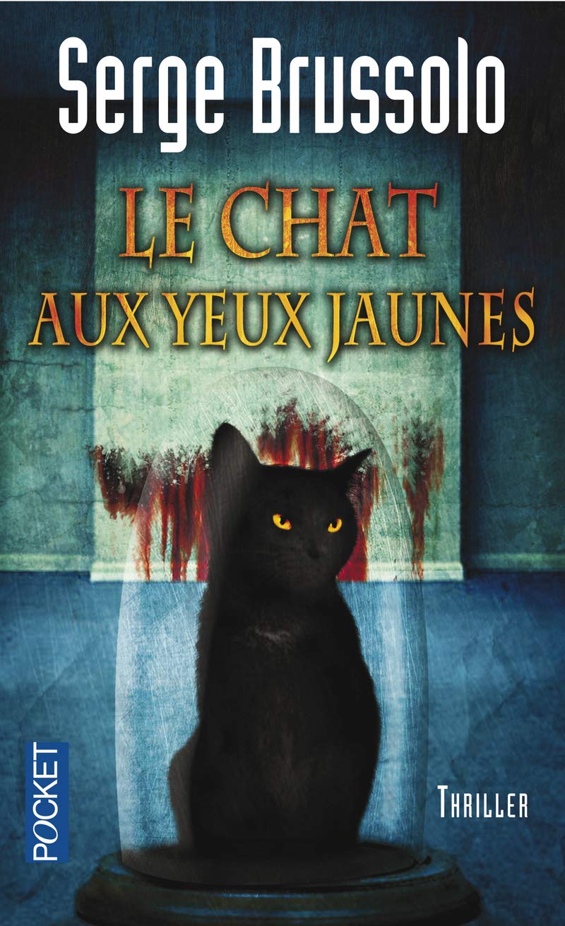 Le chat aux yeux jaunes: Agence 13 (3) 9782266220446
