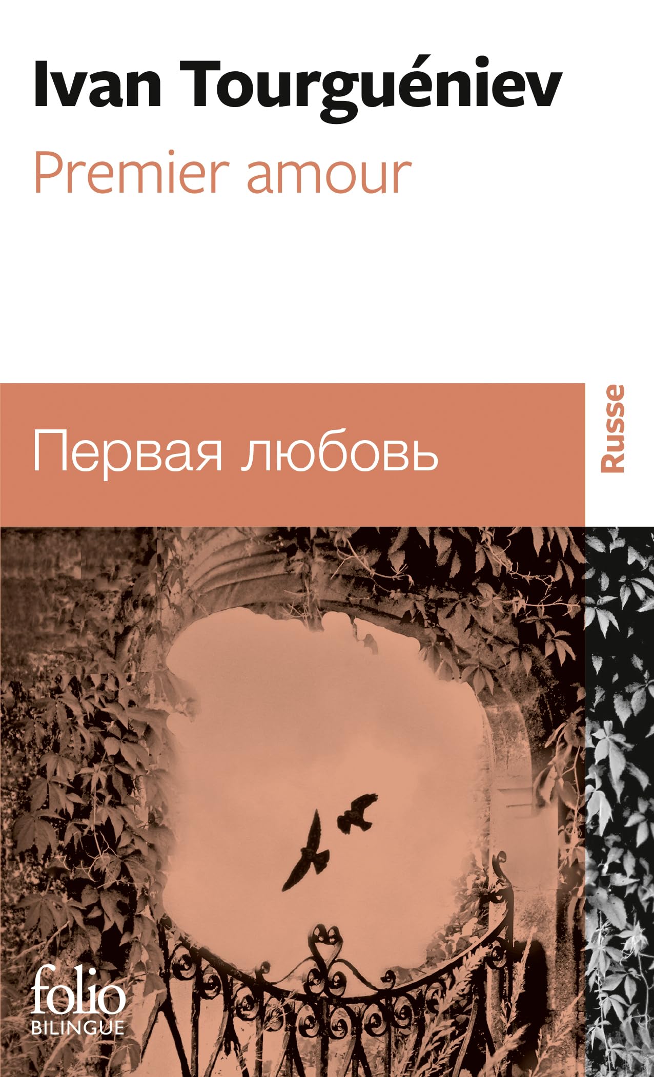 Premier amour 9782070383115