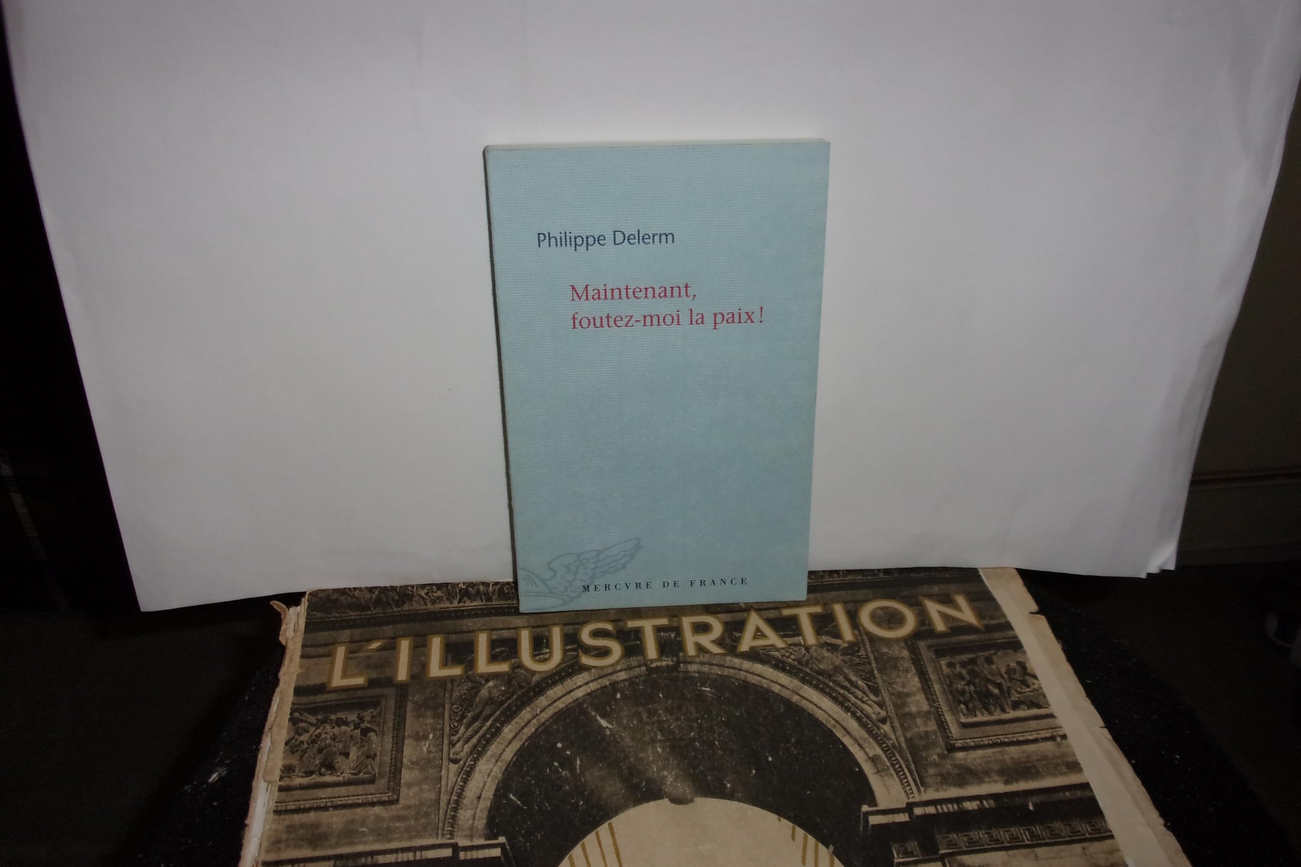 Maintenant, foutez-moi la paix ! 9782715225473