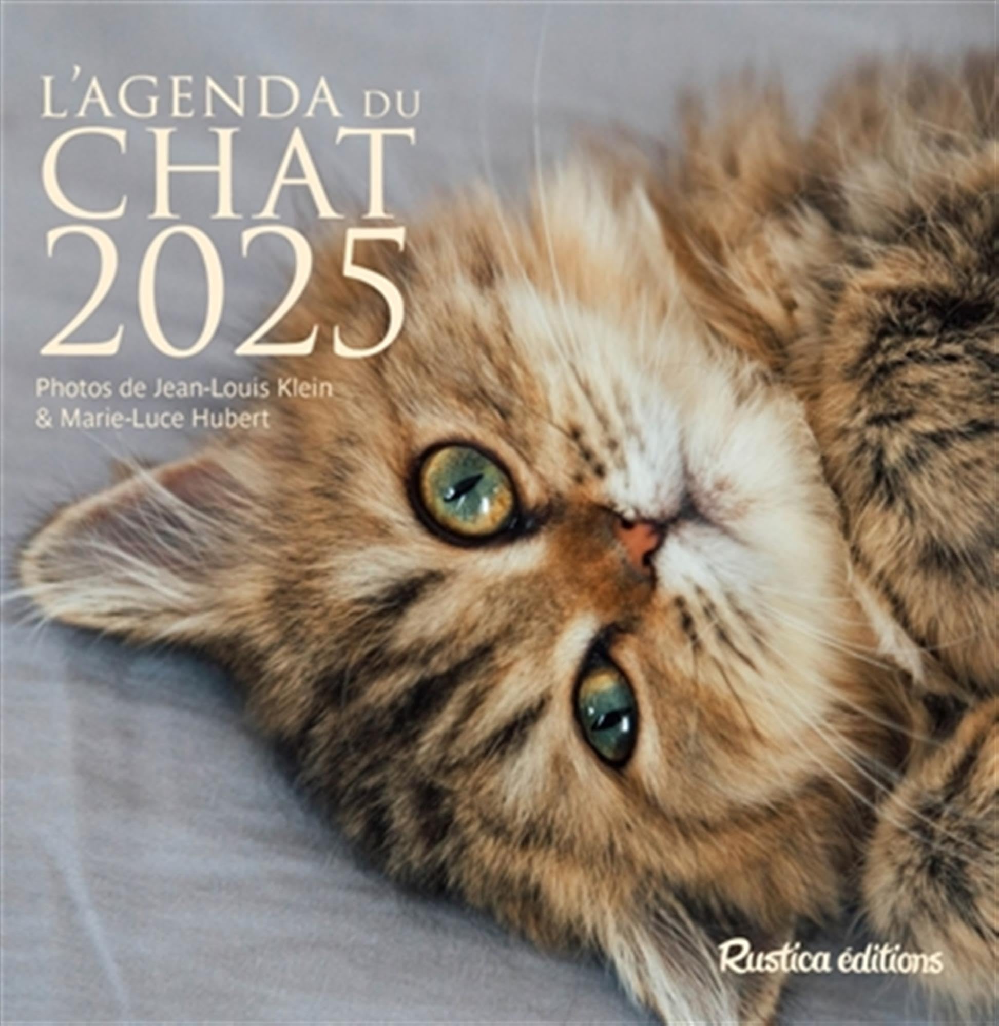 L'agenda du chat 2025 9782815322119