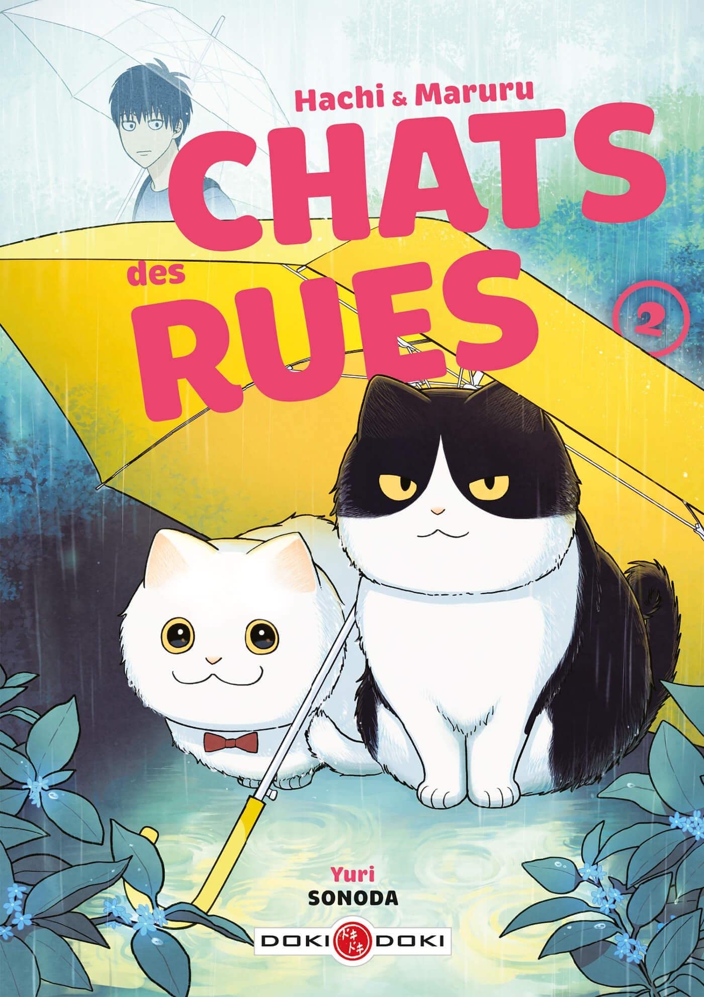 Hachi & Maruru - Chats des rues - vol. 02 9791041100620