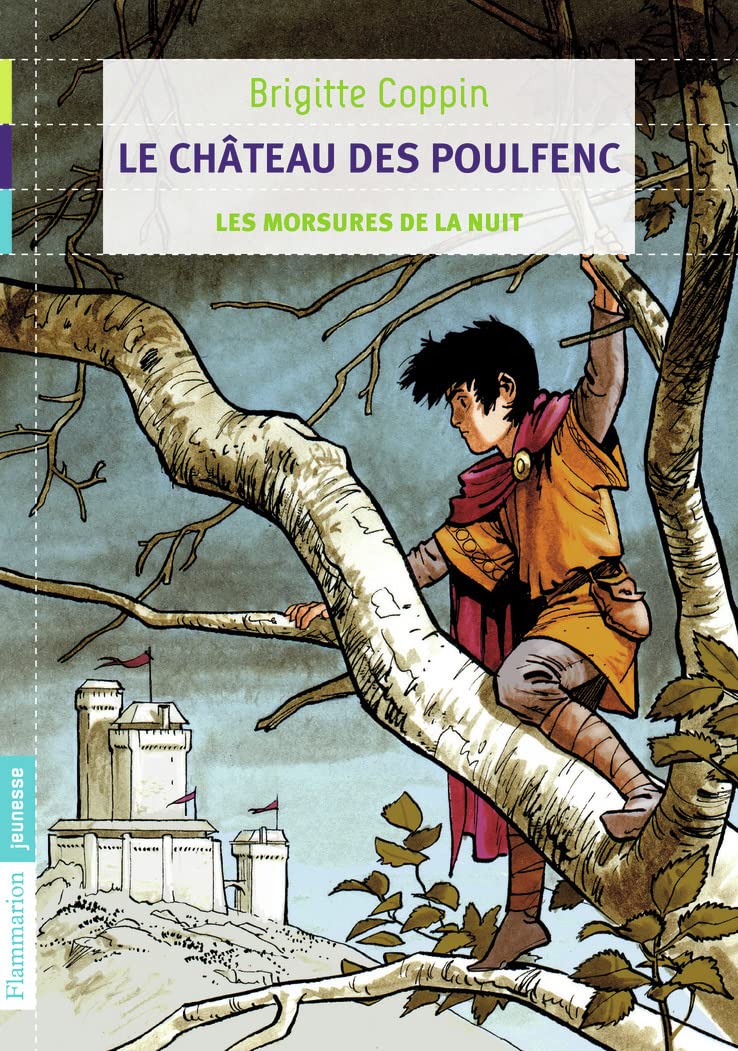 Le château des Poulfenc: Les morsures de la nuit (1) 9782081247239