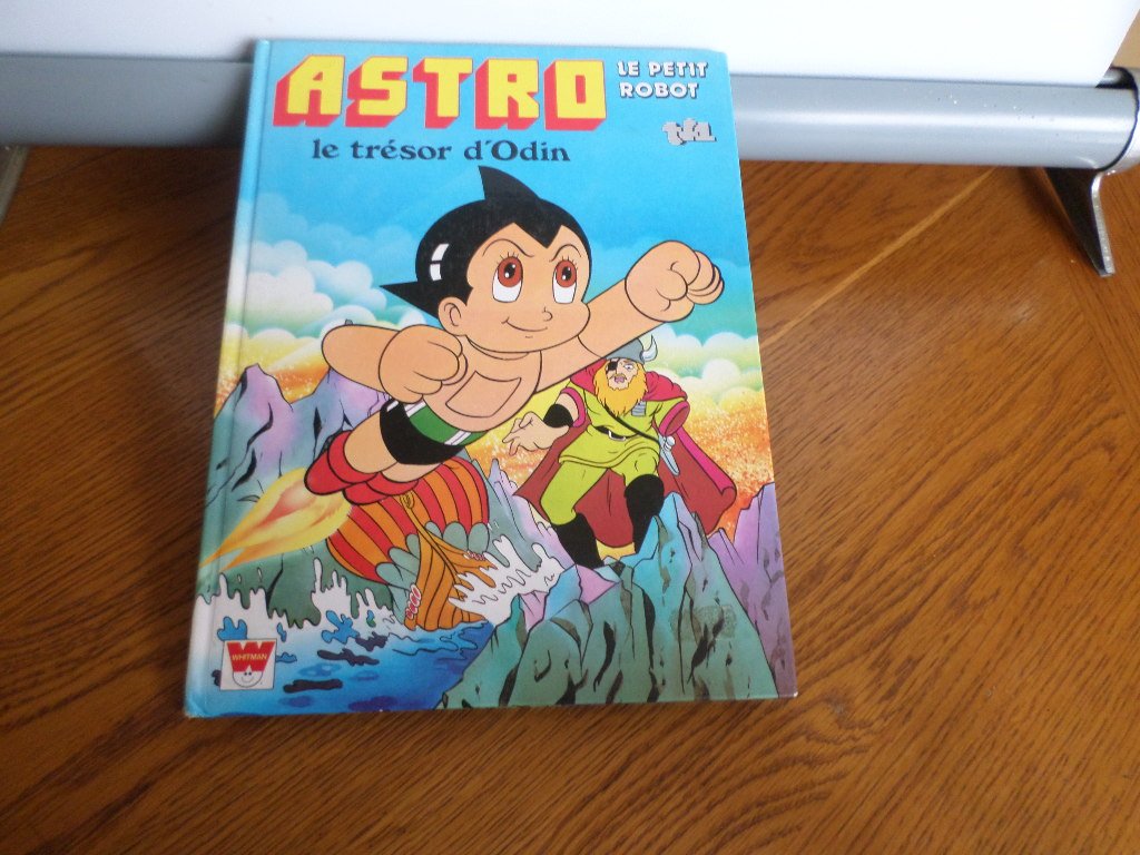 Le tresor d'odin 9782719253533