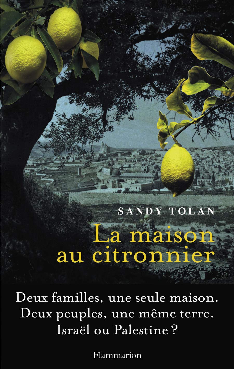 La Maison au citronnier 9782081245945