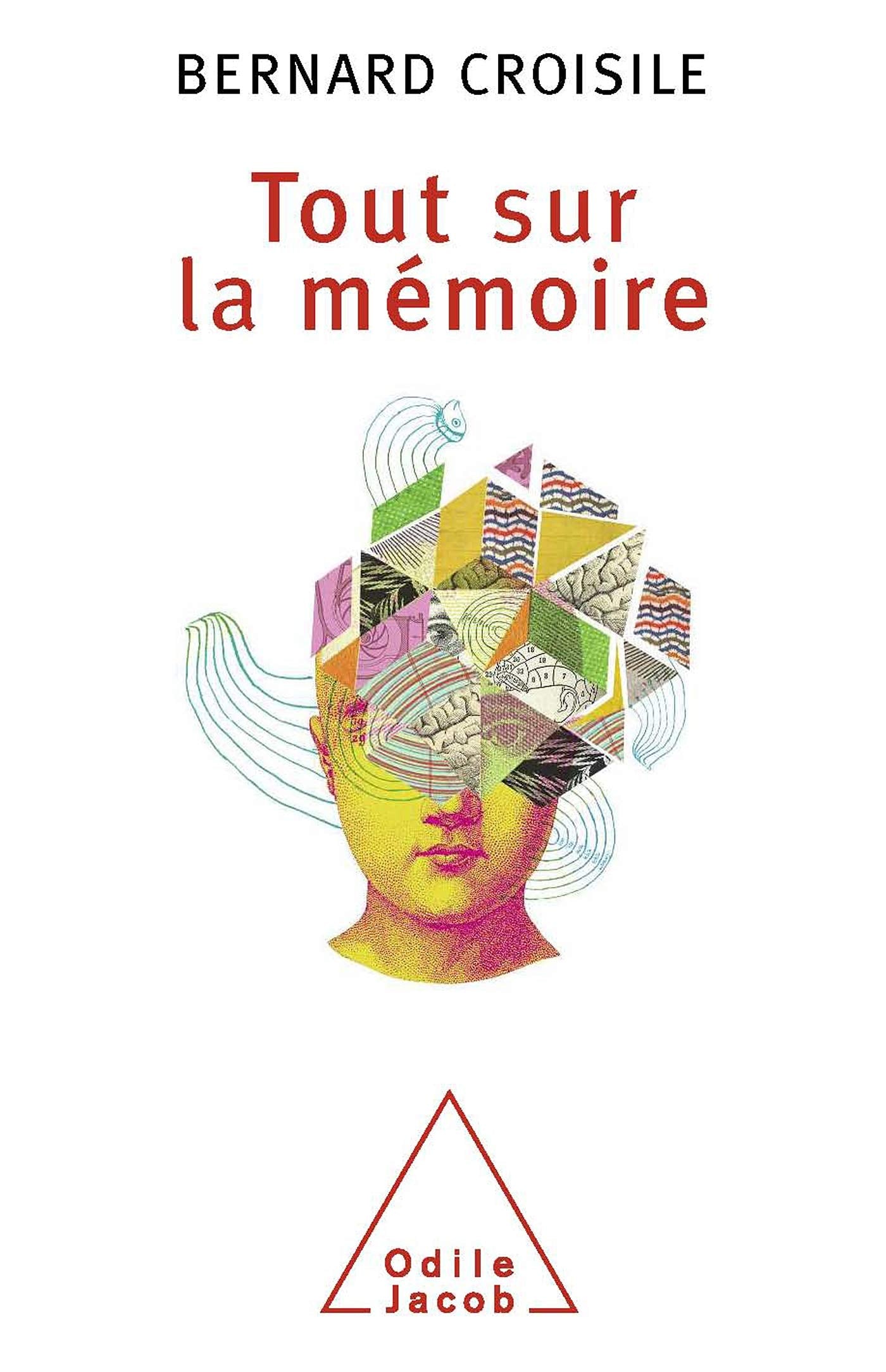 Tout sur la mémoire 9782738121066