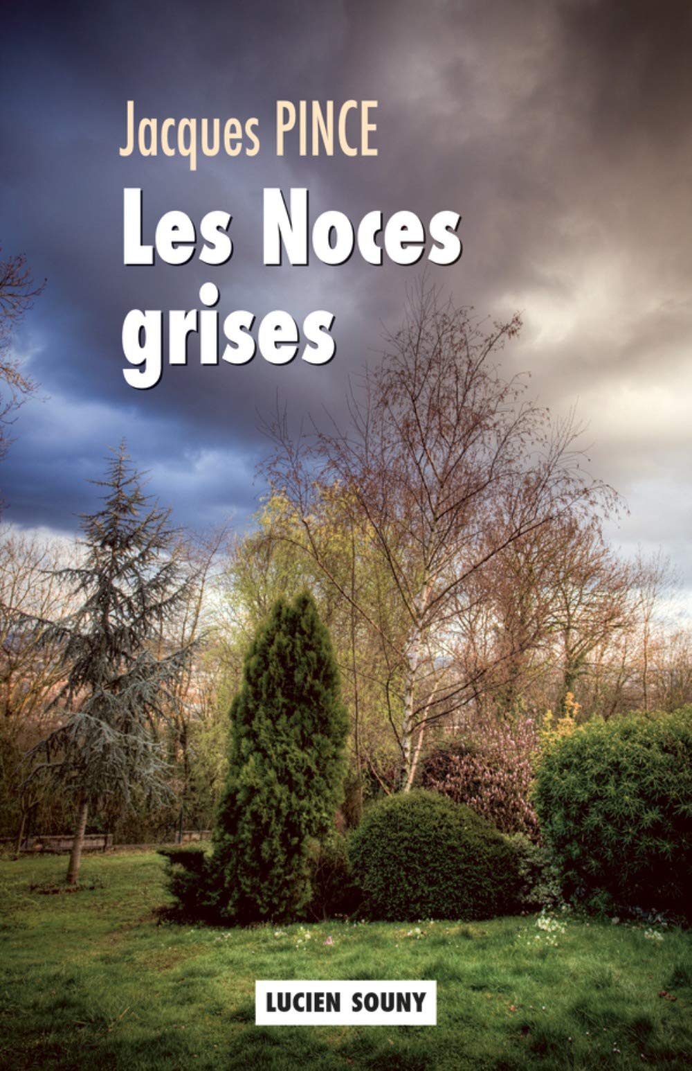 Les Noces grises 9782848863184