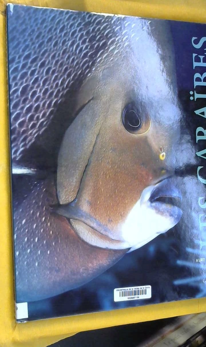 Les Caraïbes 9782700021875