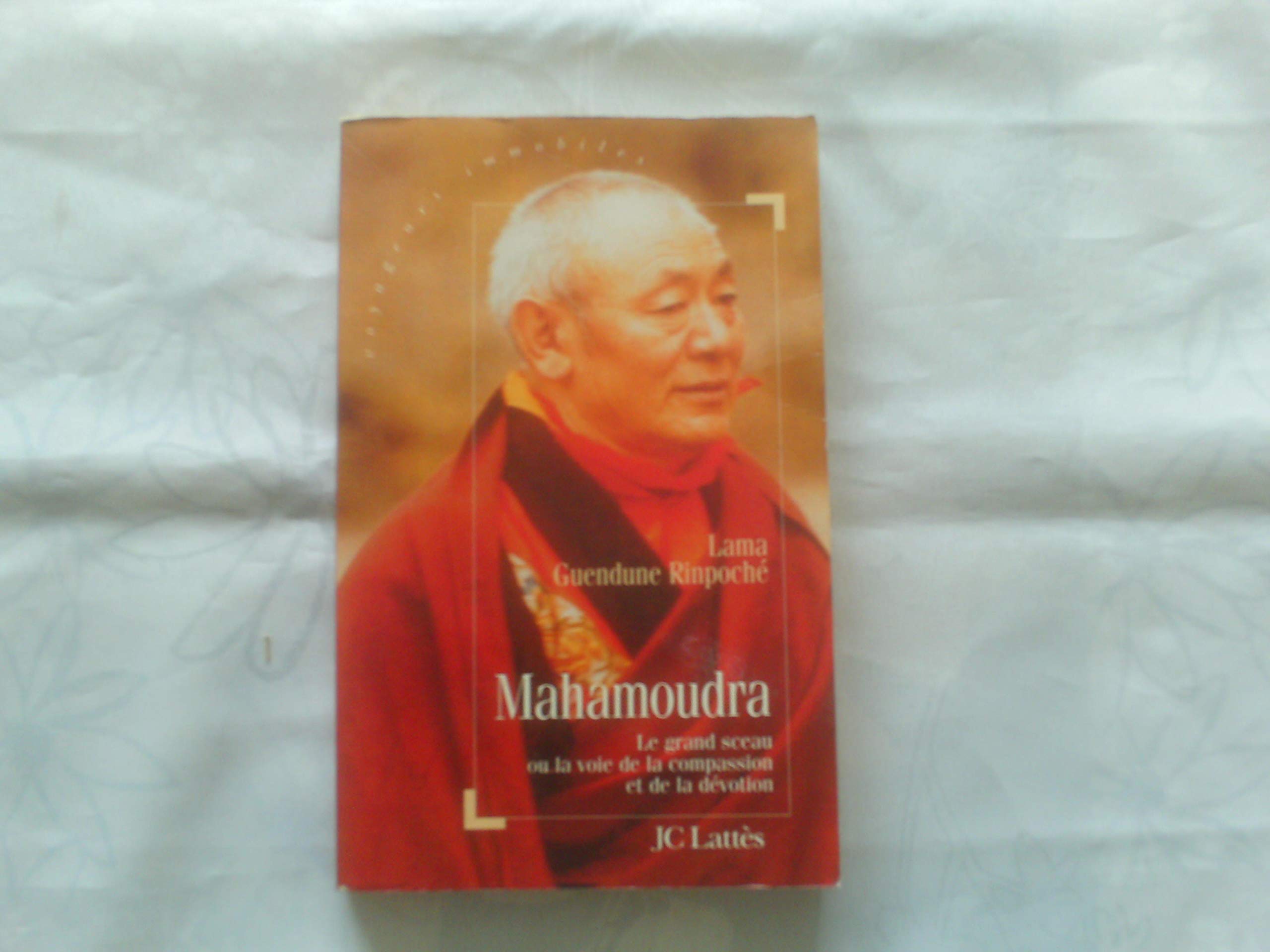 Mahamoudra: La voie de la compassion et de la dévotion 9782709618328