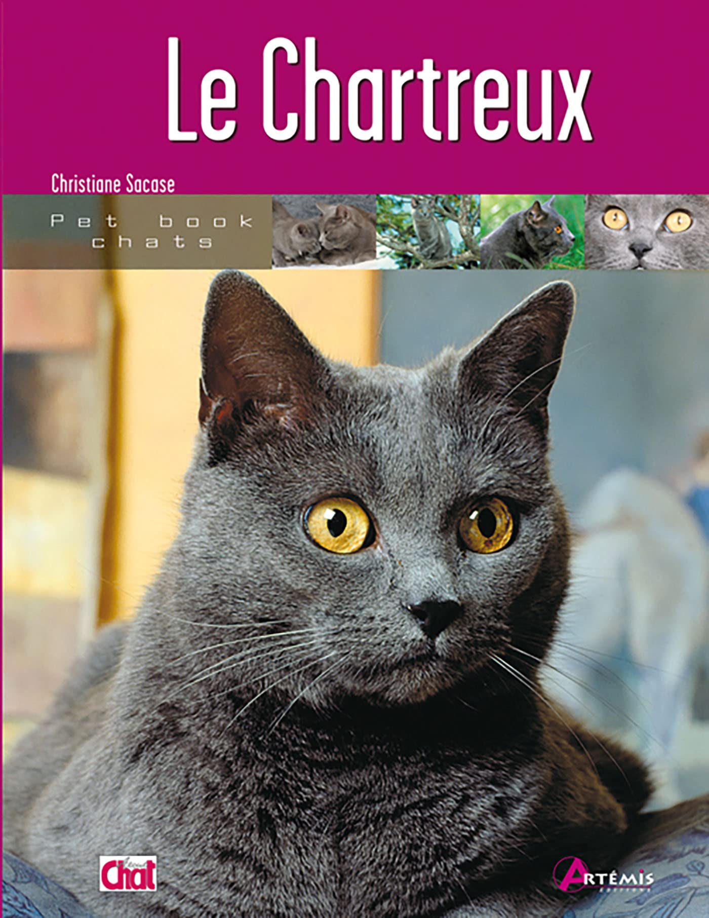 Le chartreux 9782844162601