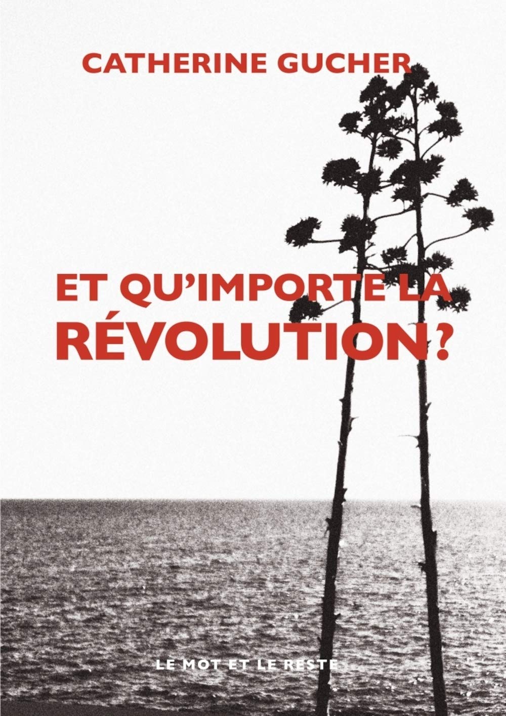 Et qu'importe la révolution ? 9782361390372