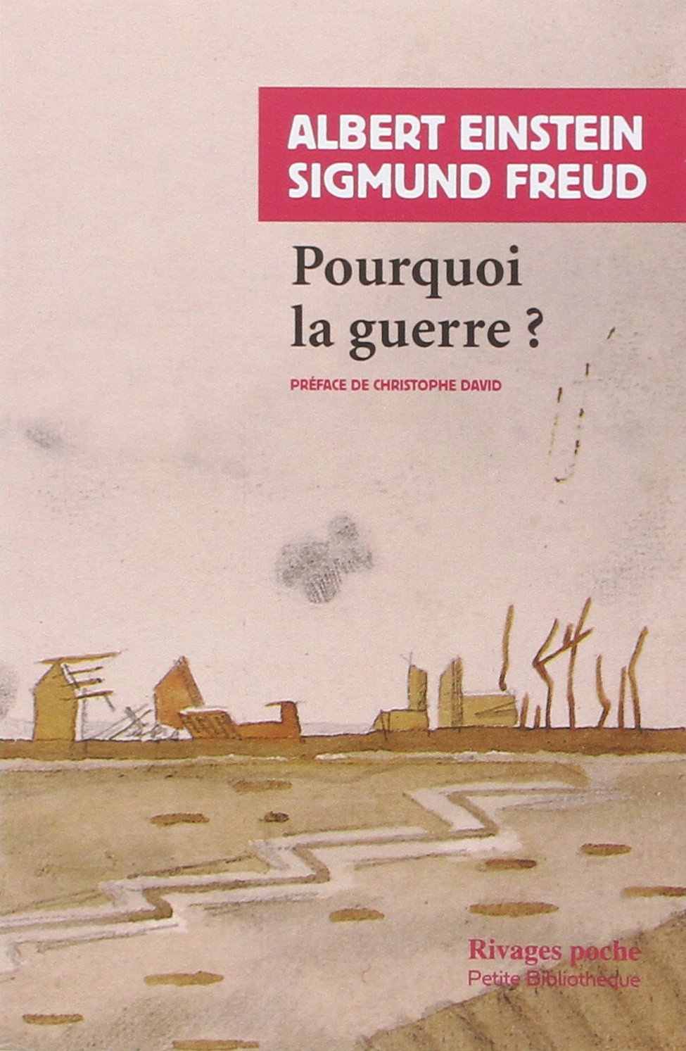 Pourquoi la guerre ? 9782743613648
