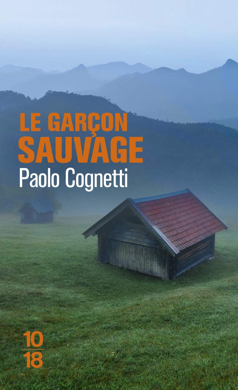 Le garçon sauvage 9782264070081