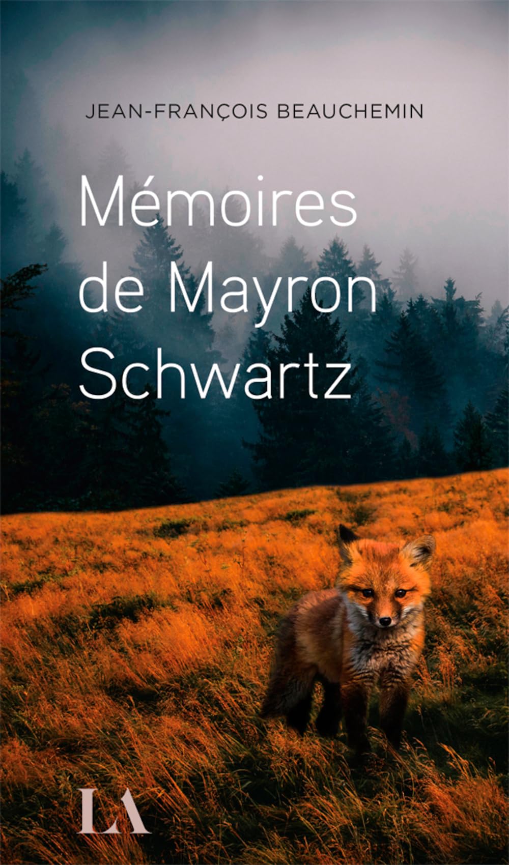 Mémoires de Mayron Schwartz 9782764453575