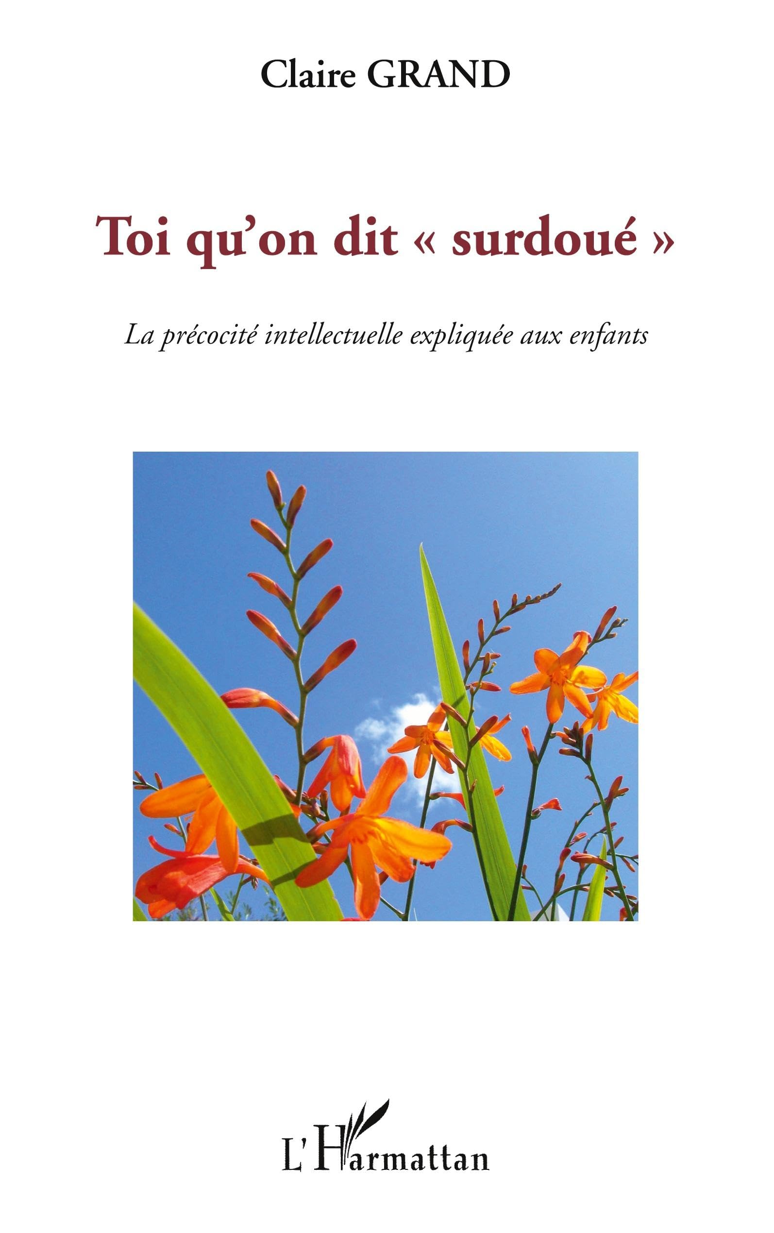 Toi qu'on dit surdoué : La précocité intellectuelle expliquée aux enfants 9782296140165