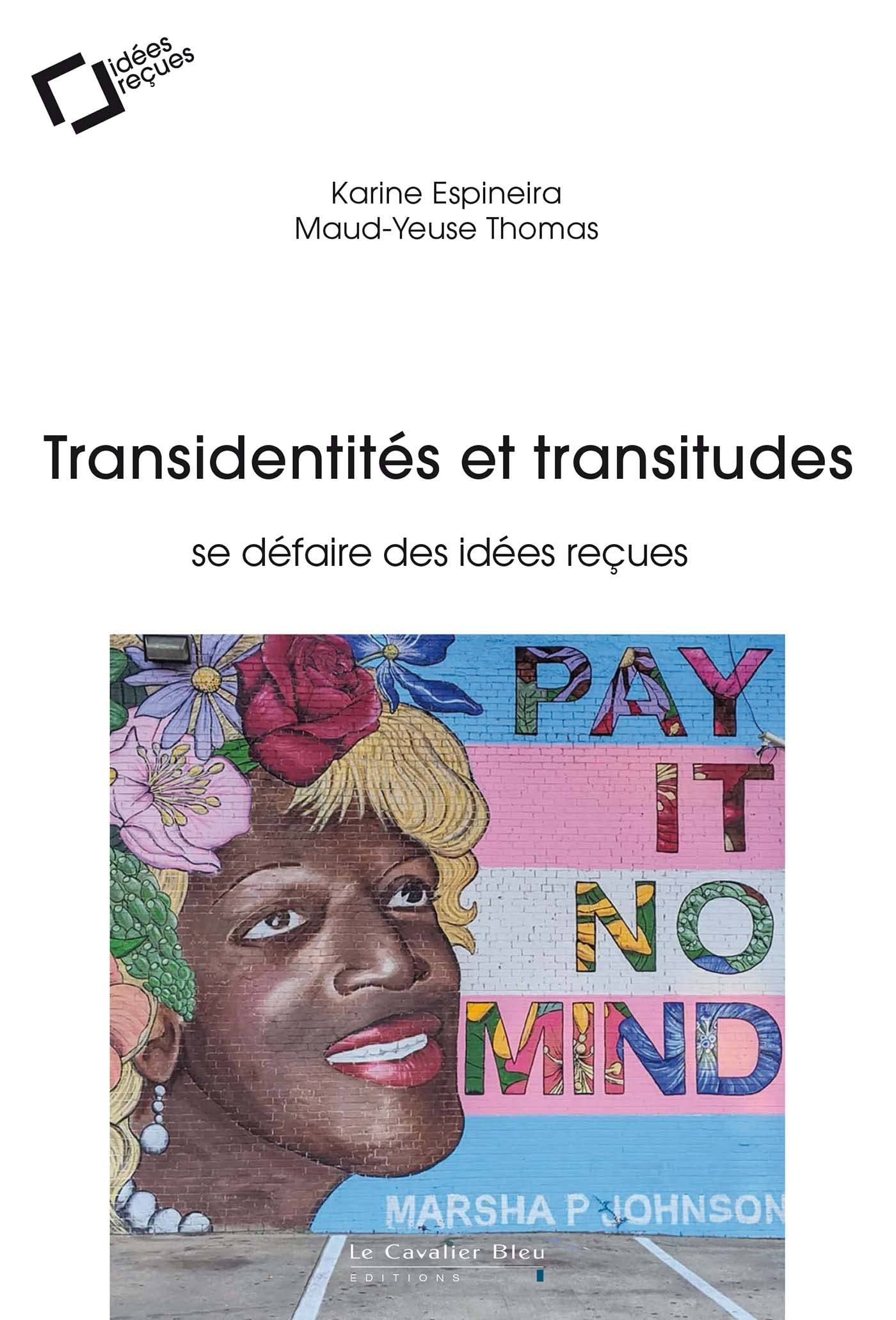 TRANSIDENTITES ET TRANSITUDES: Se défaire des idées reçues 9791031804927