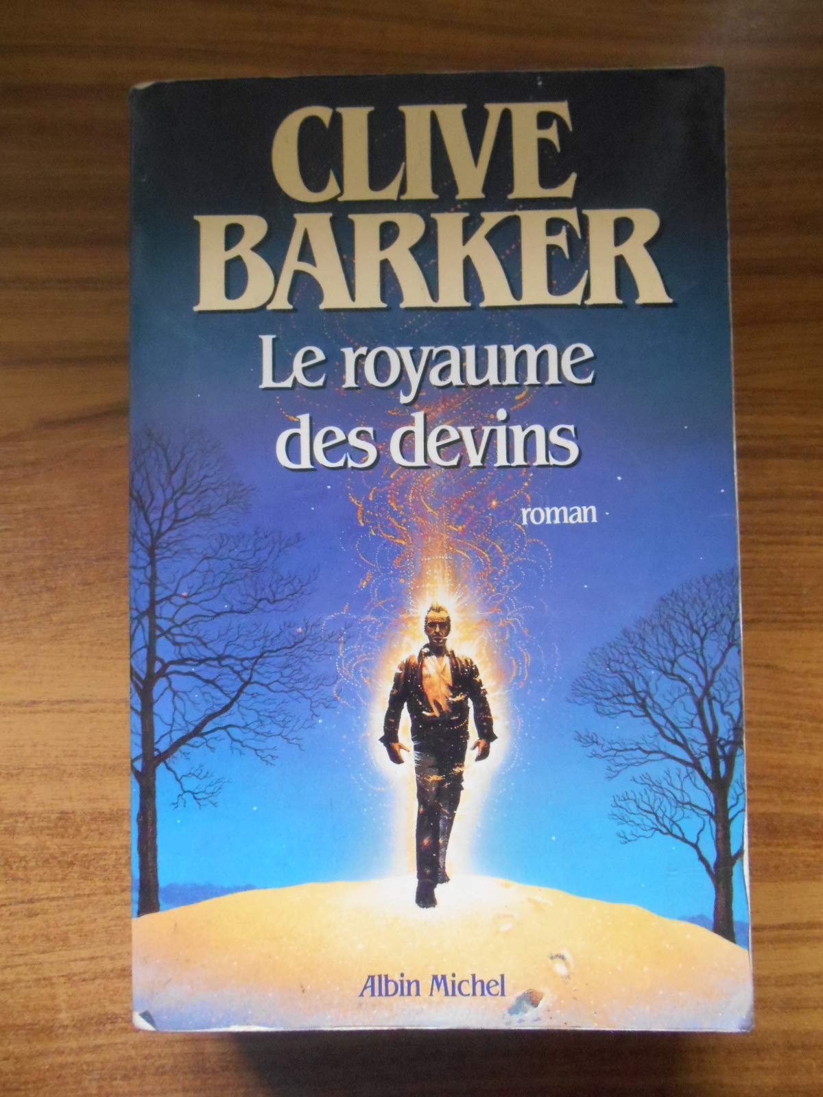 Le royaume des devins 9782226036605