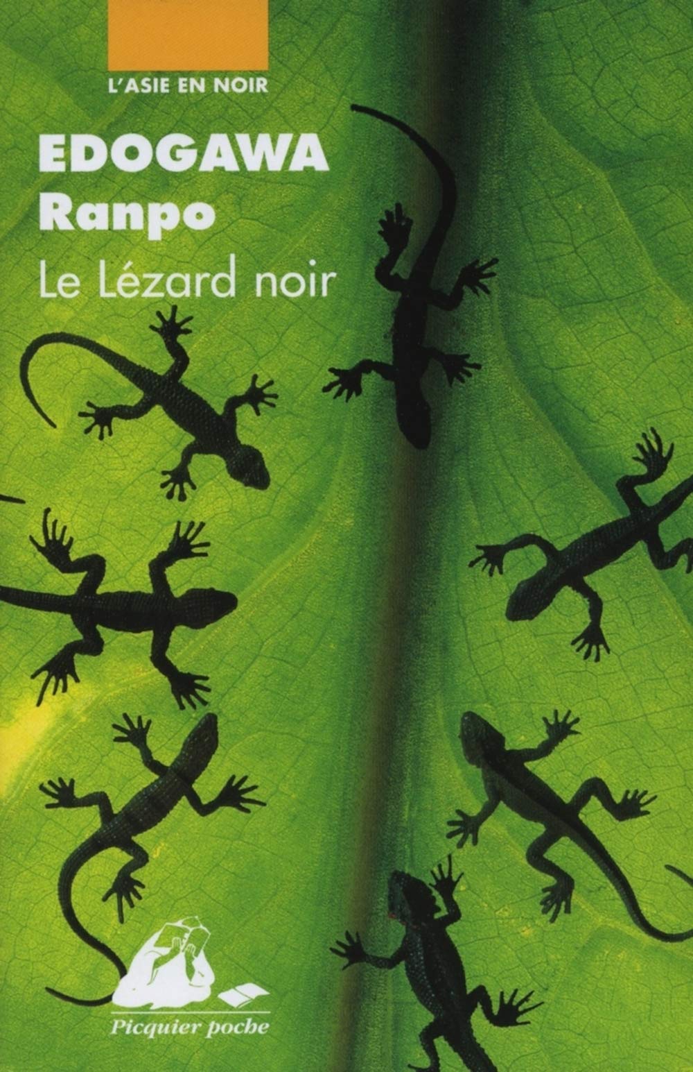 Le Lézard noir 9782877304979