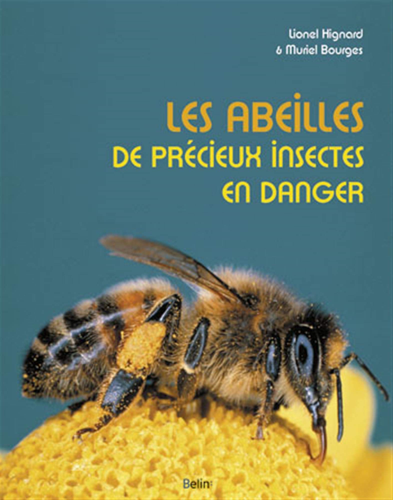 Les abeilles de précieux insectes en danger 9782701154664