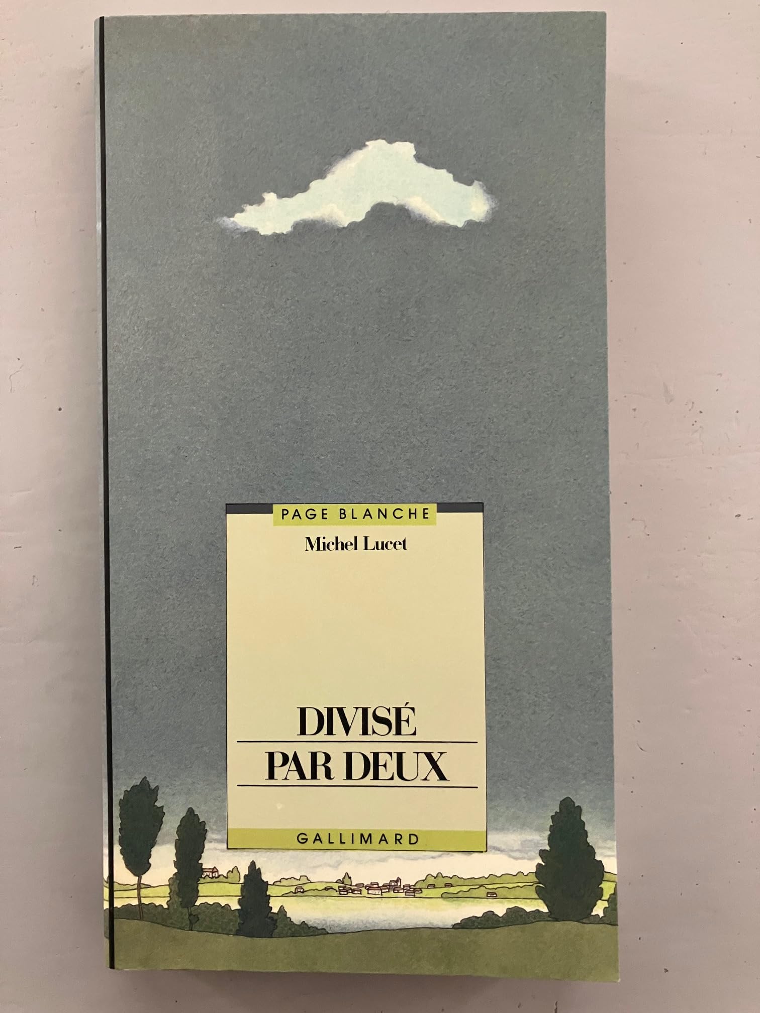 Divisé par deux 9782070563968