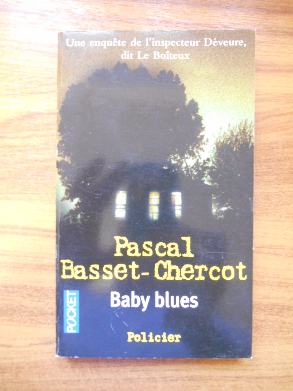 Baby blues 9782266141161