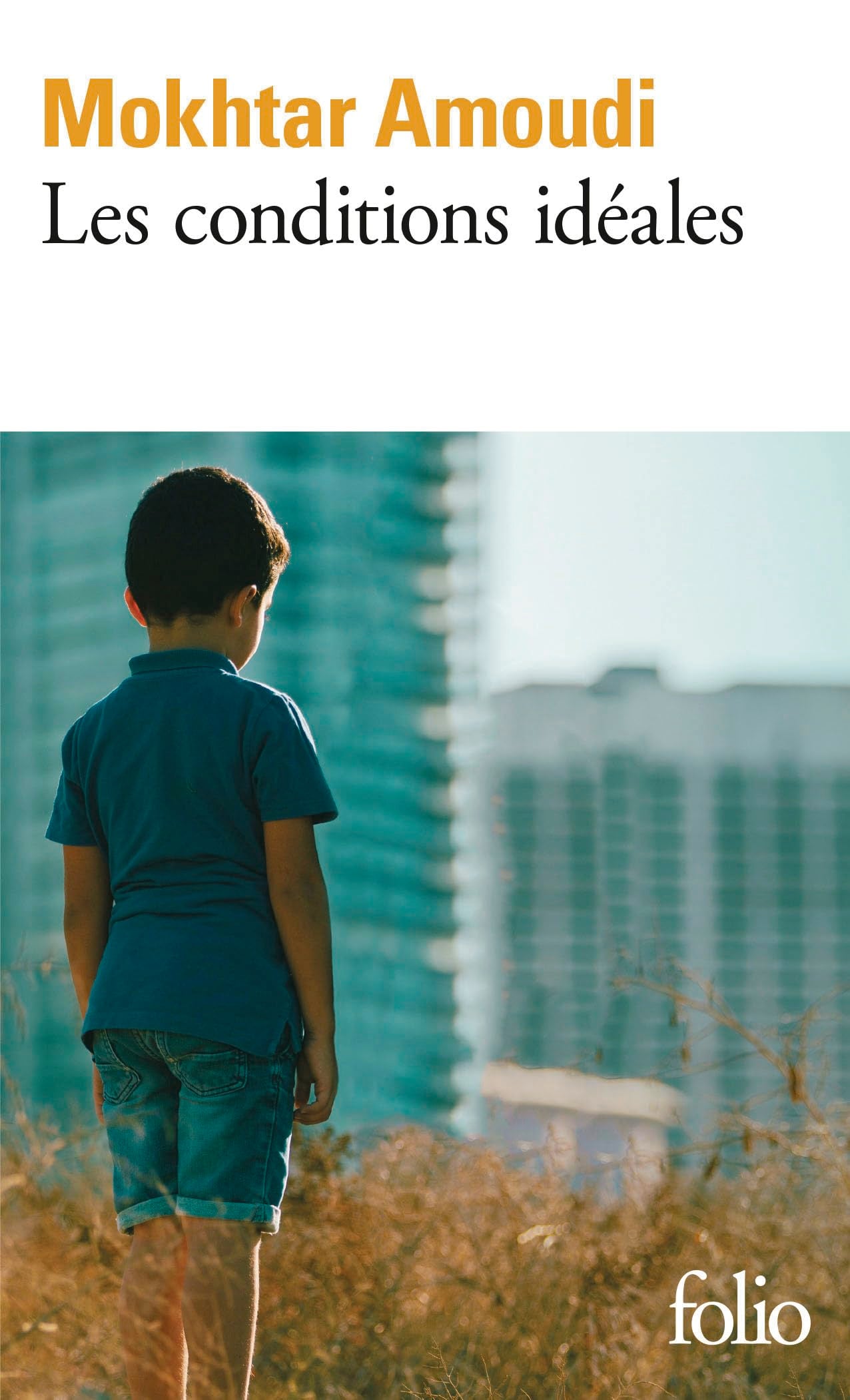 Les conditions idéales 9782073094834