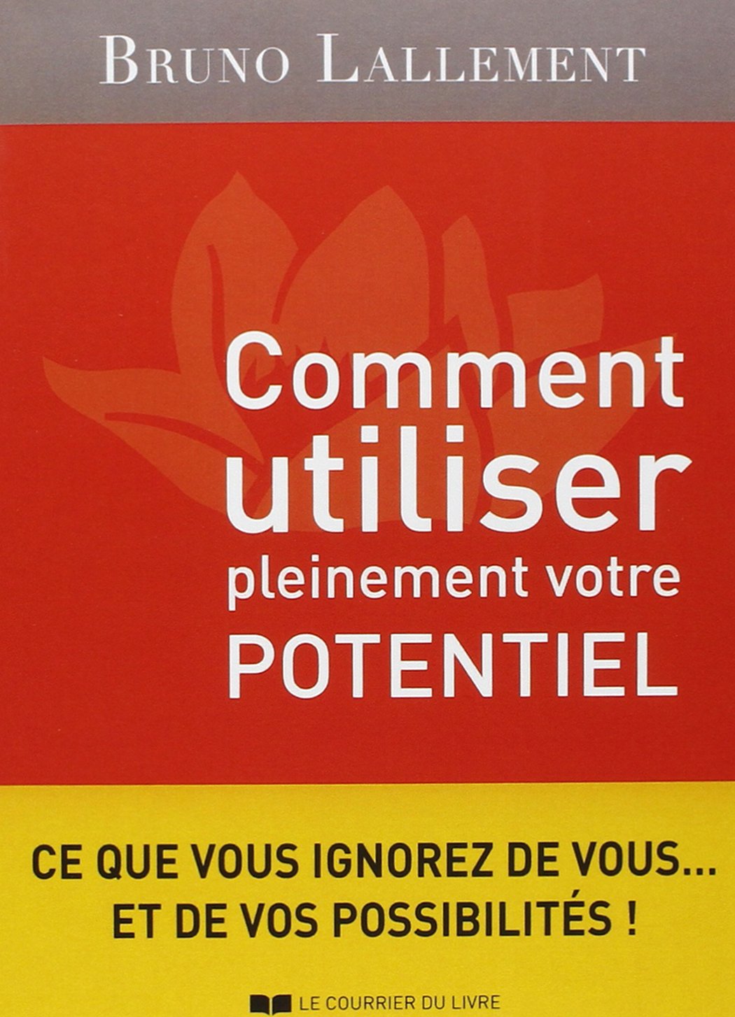 Comment utiliser pleinement votre potentiel 9782702907139