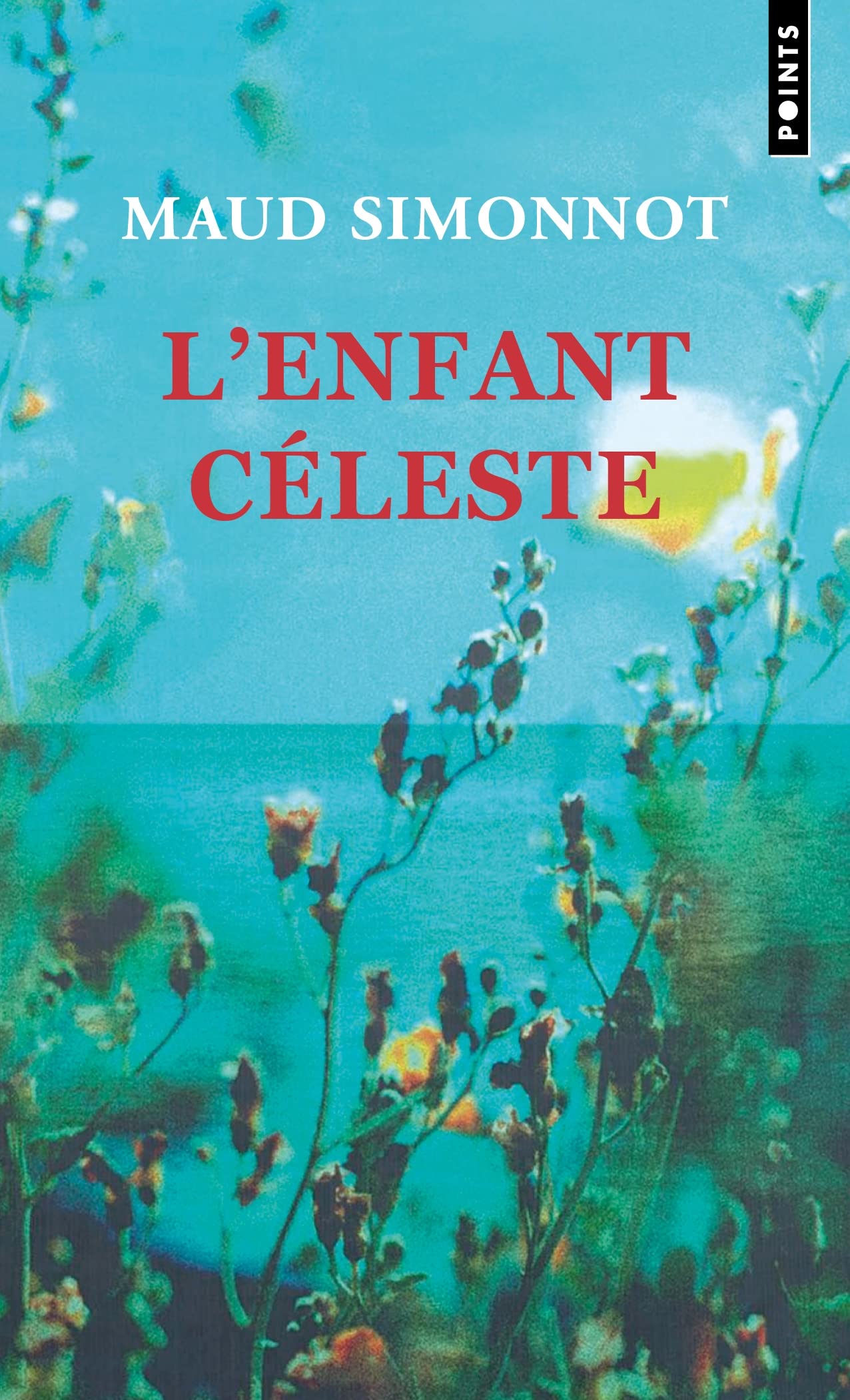 L'Enfant céleste 9782757896389