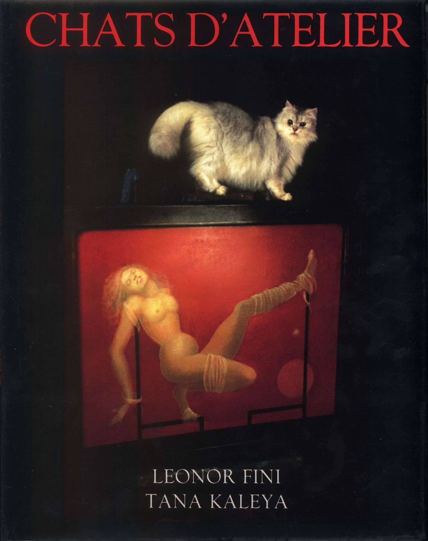 Chats D'Atelier. Les Chats De Leonor Fini 9782851320452
