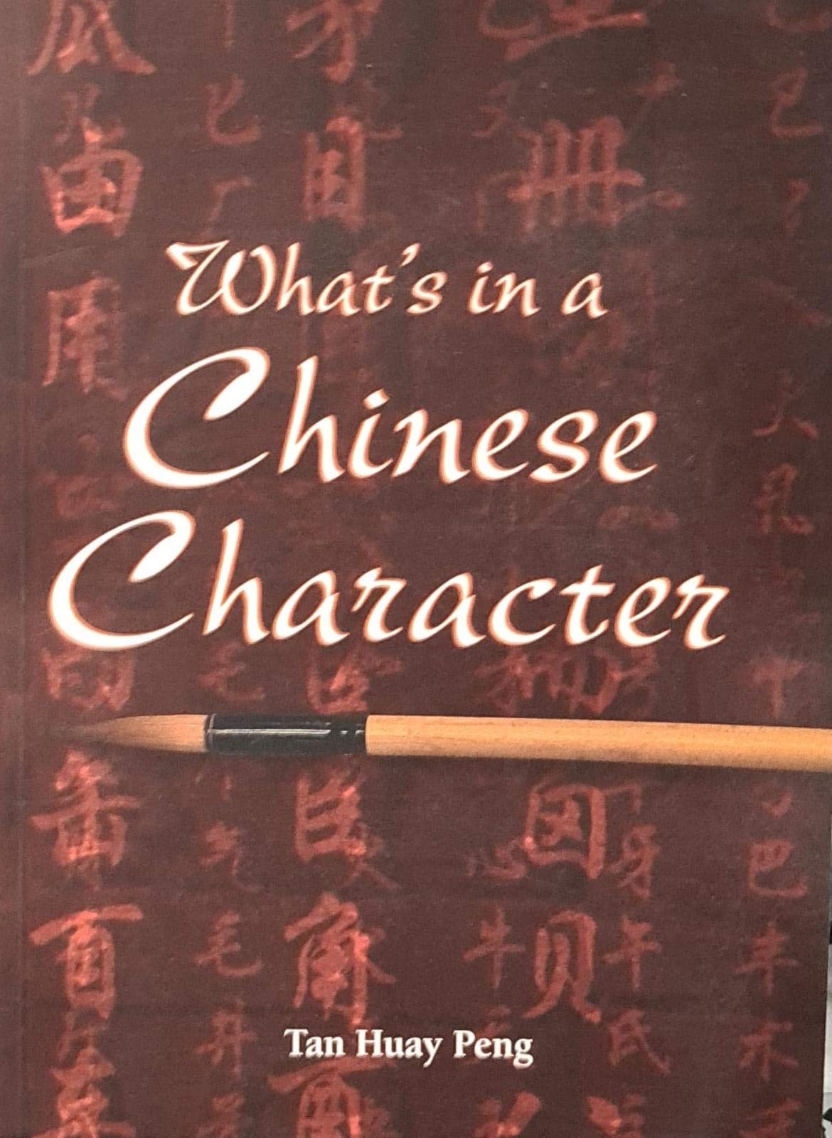 What's in a Chinese Character 9789812610041
