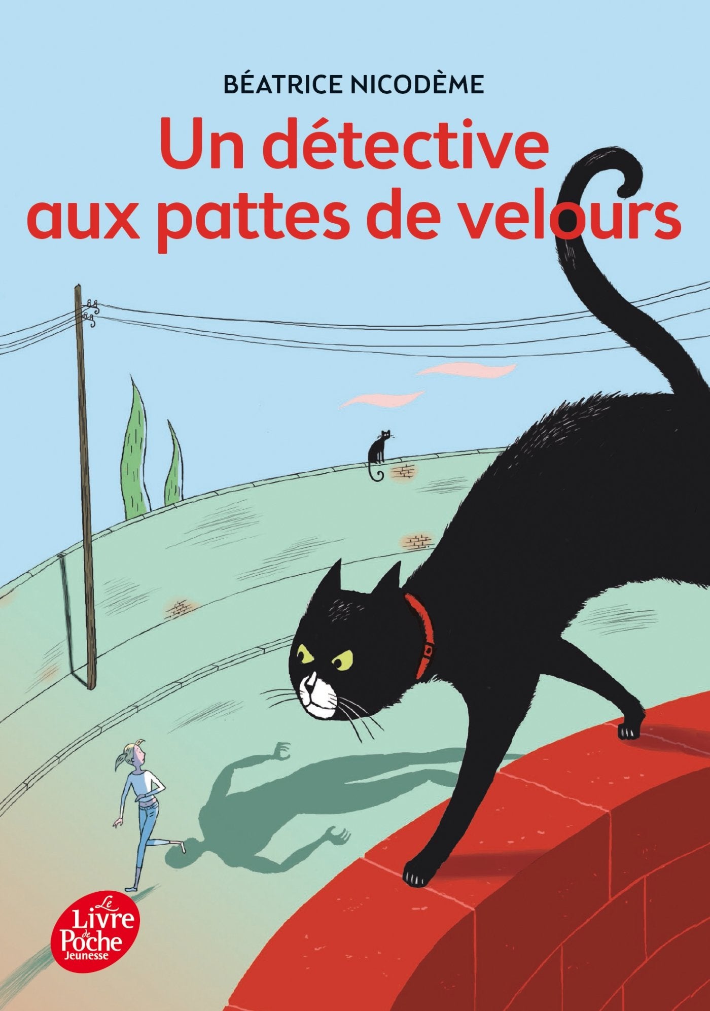 Un detective aux pattes de velours 9782013285193