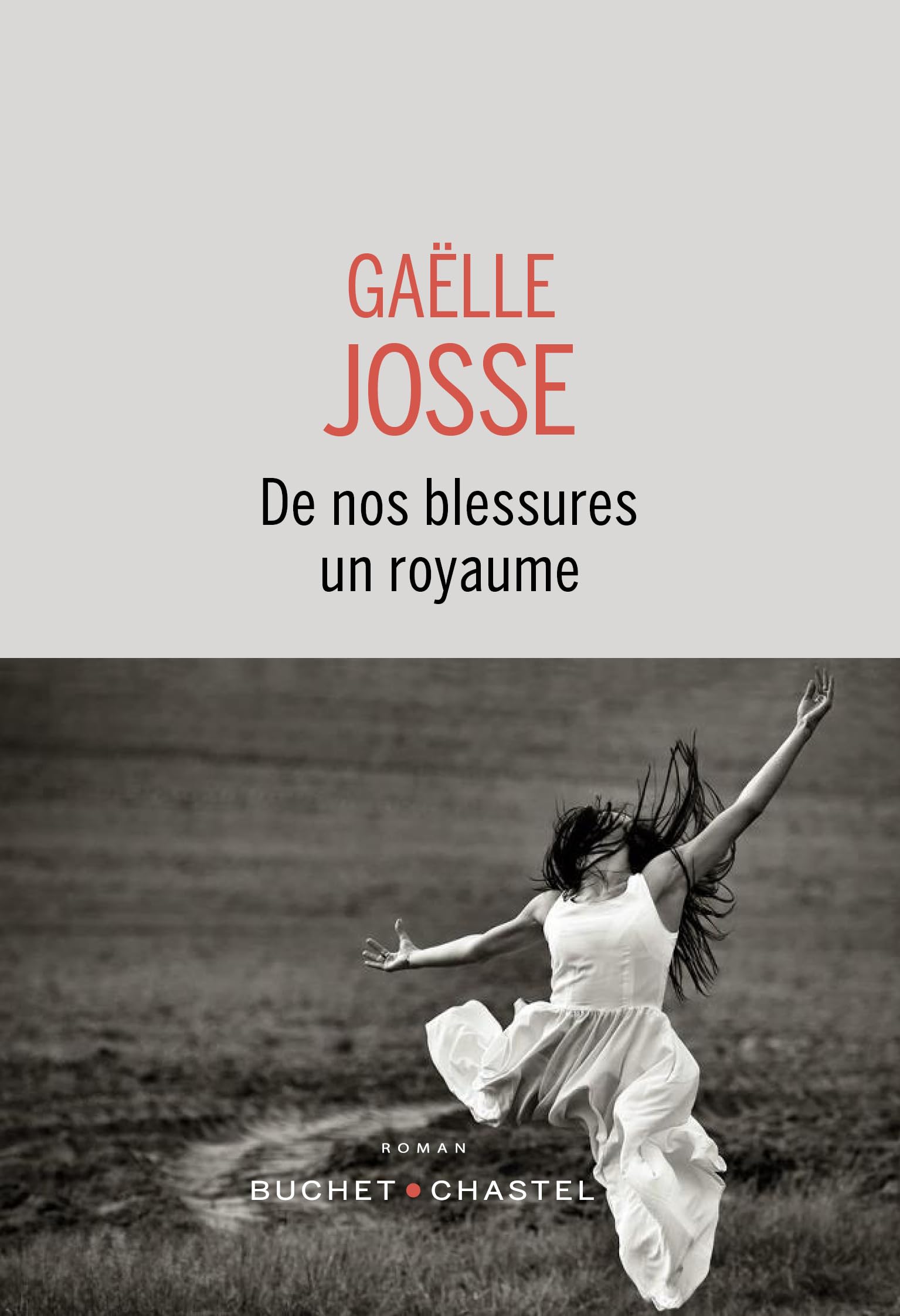 De nos blessures un royaume 9782283039717