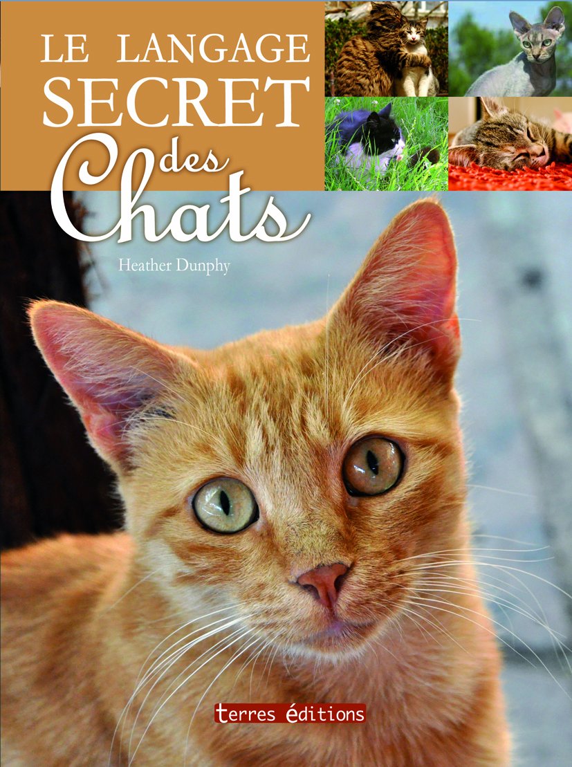 Langage secret des chats (le) 9782355301759